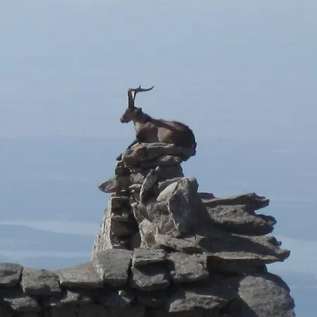 Отель La Pasailla De Gredos Навасепеда-де-Тормес